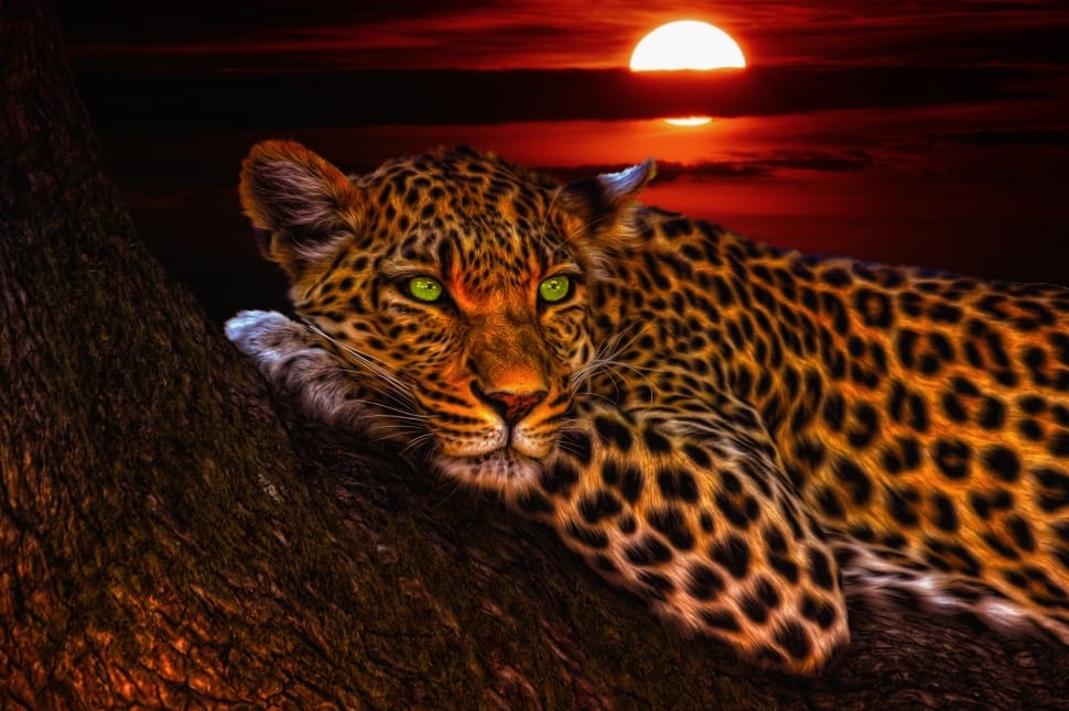 Brown And Black Leopard Preview - Leopard Wallpaper Hd - HD Wallpaper 