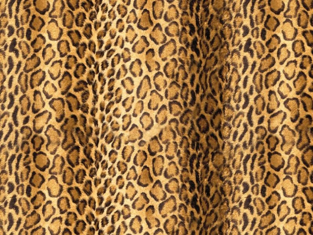 Computer Images Of Cheetah Print Tumblr By Lempi Goffe - 1024x768 Wallpaper  