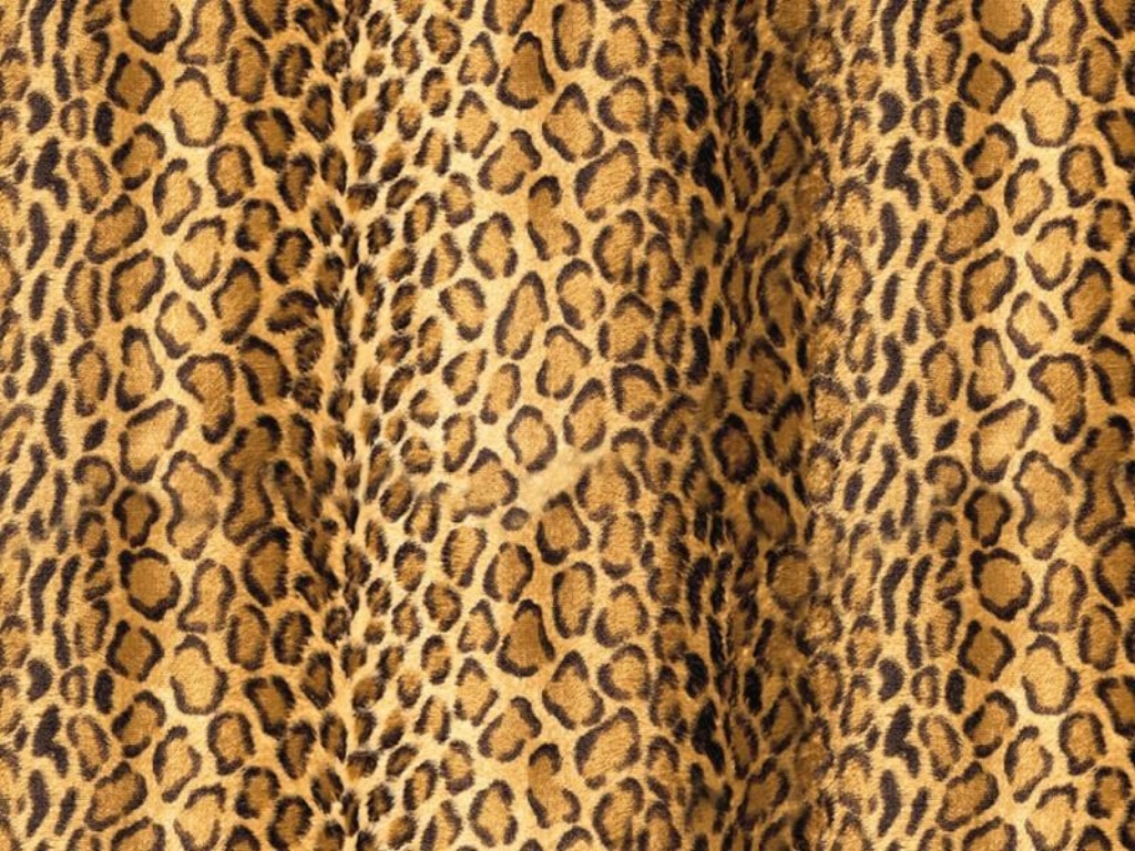 Computer Images Of Cheetah Print Tumblr By Lempi Goffe - HD Wallpaper 