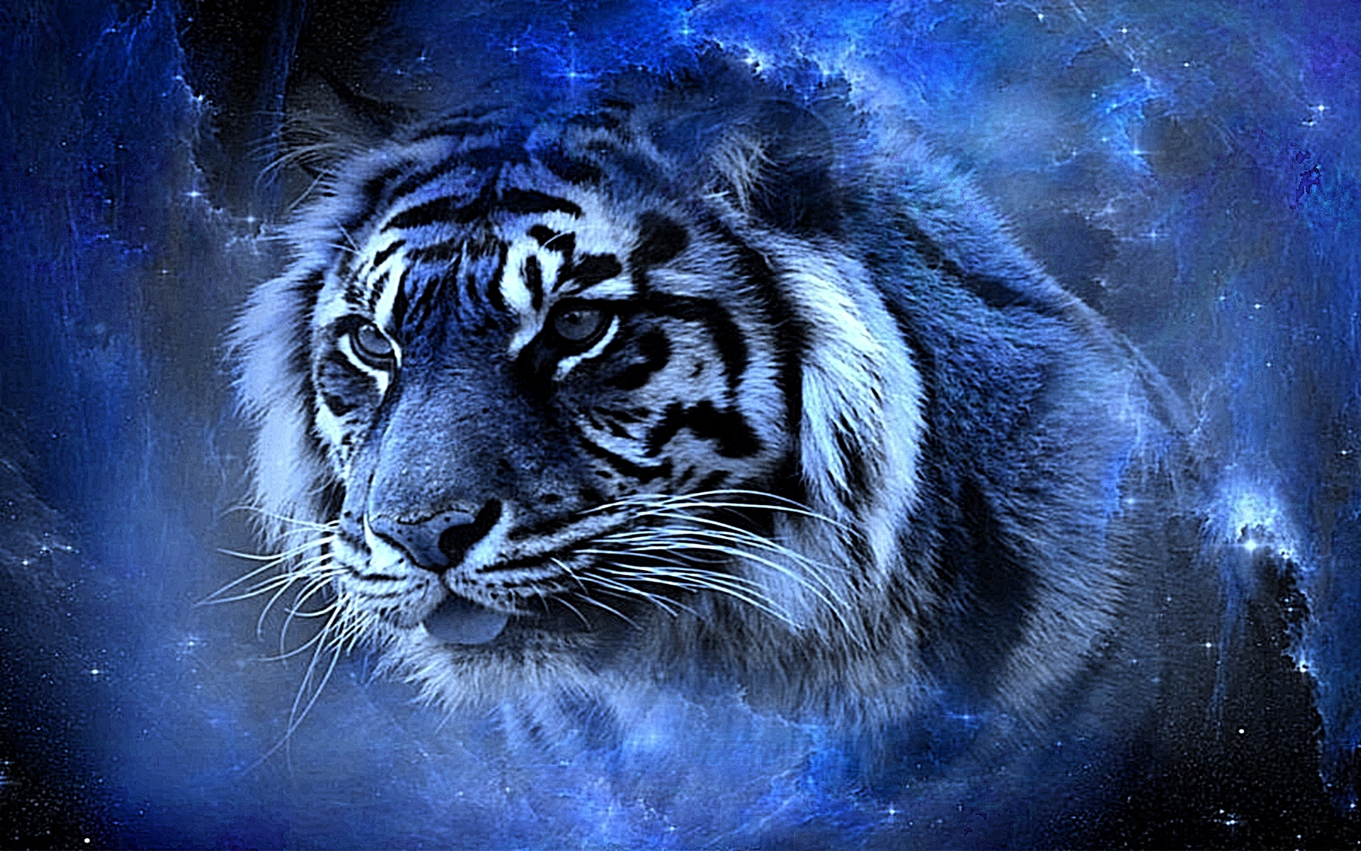 3d Tiger Desktop Wallpaper Cool Tiger 19x10 Wallpaper Teahub Io