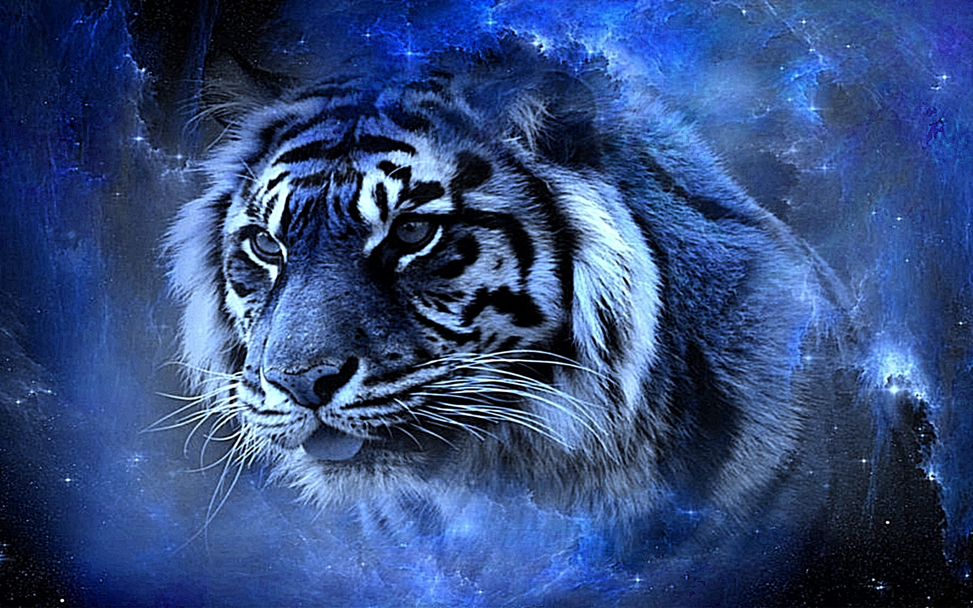 3d Tiger Desktop Wallpaper - Cool Tiger - HD Wallpaper 