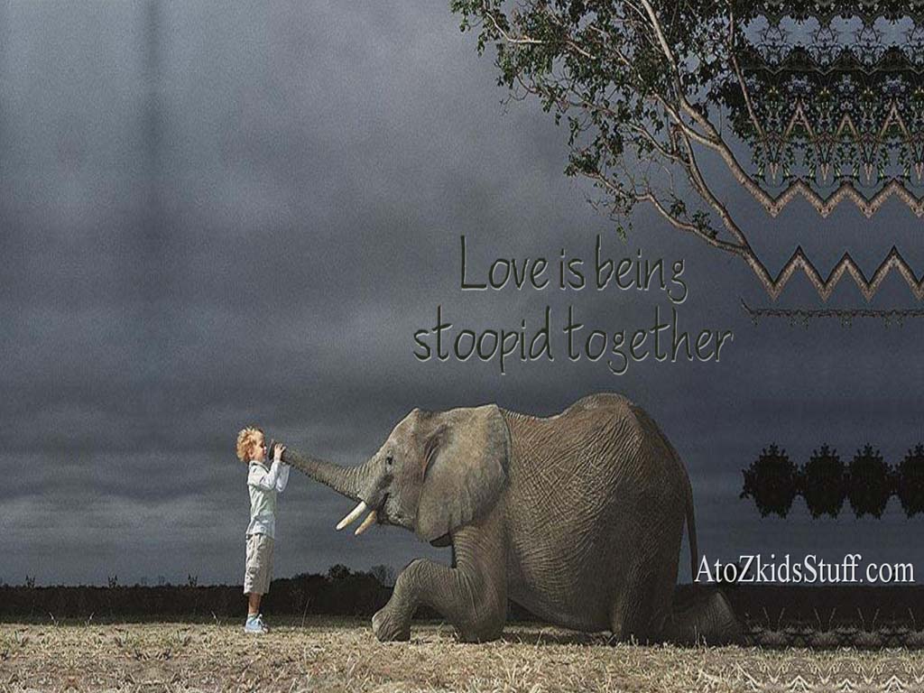 Indian Elephant - HD Wallpaper 