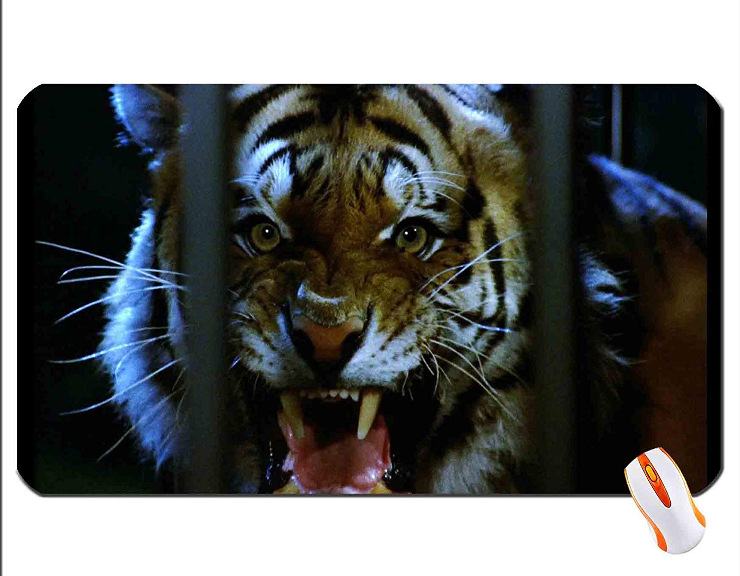 Tigre Bambiro - HD Wallpaper 