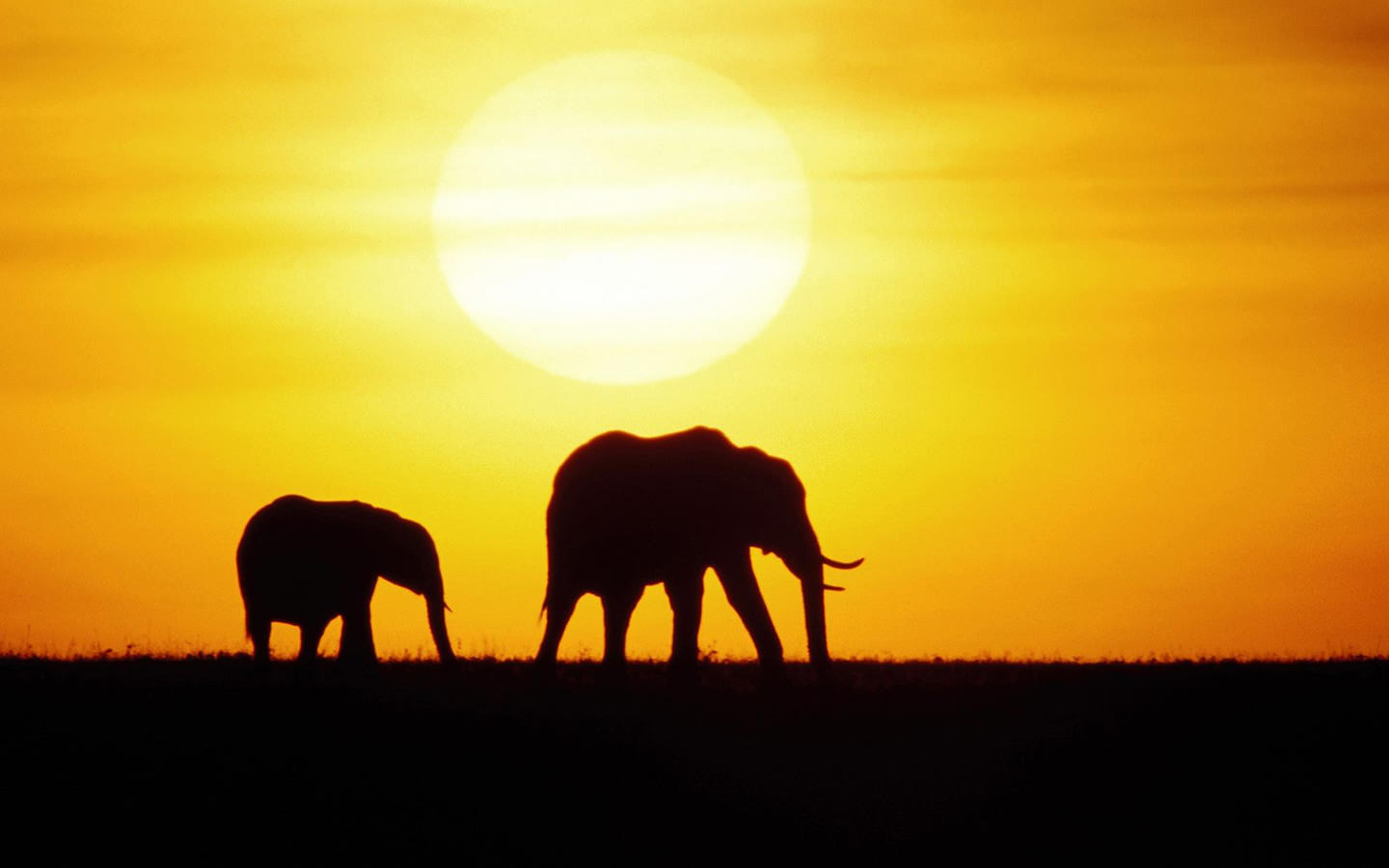 Gabon - HD Wallpaper 