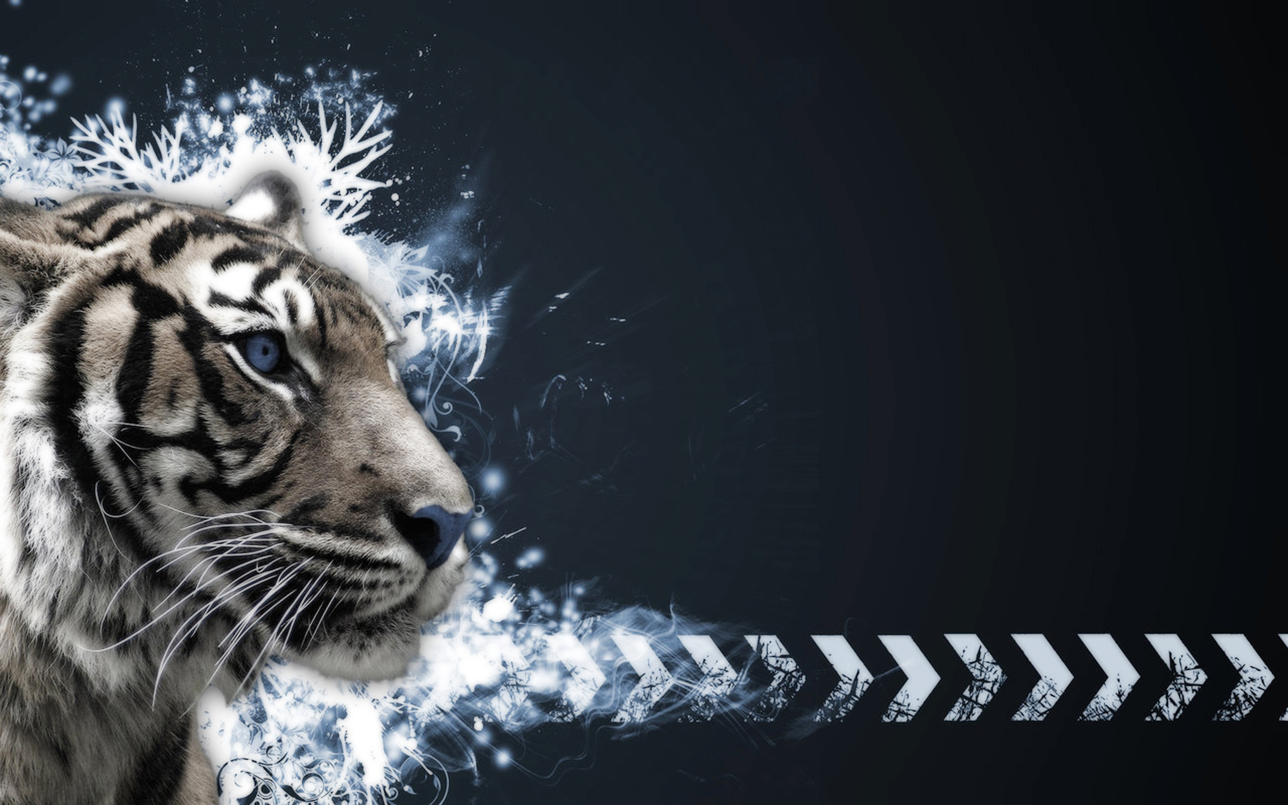 white bengal tiger wallpaper hd