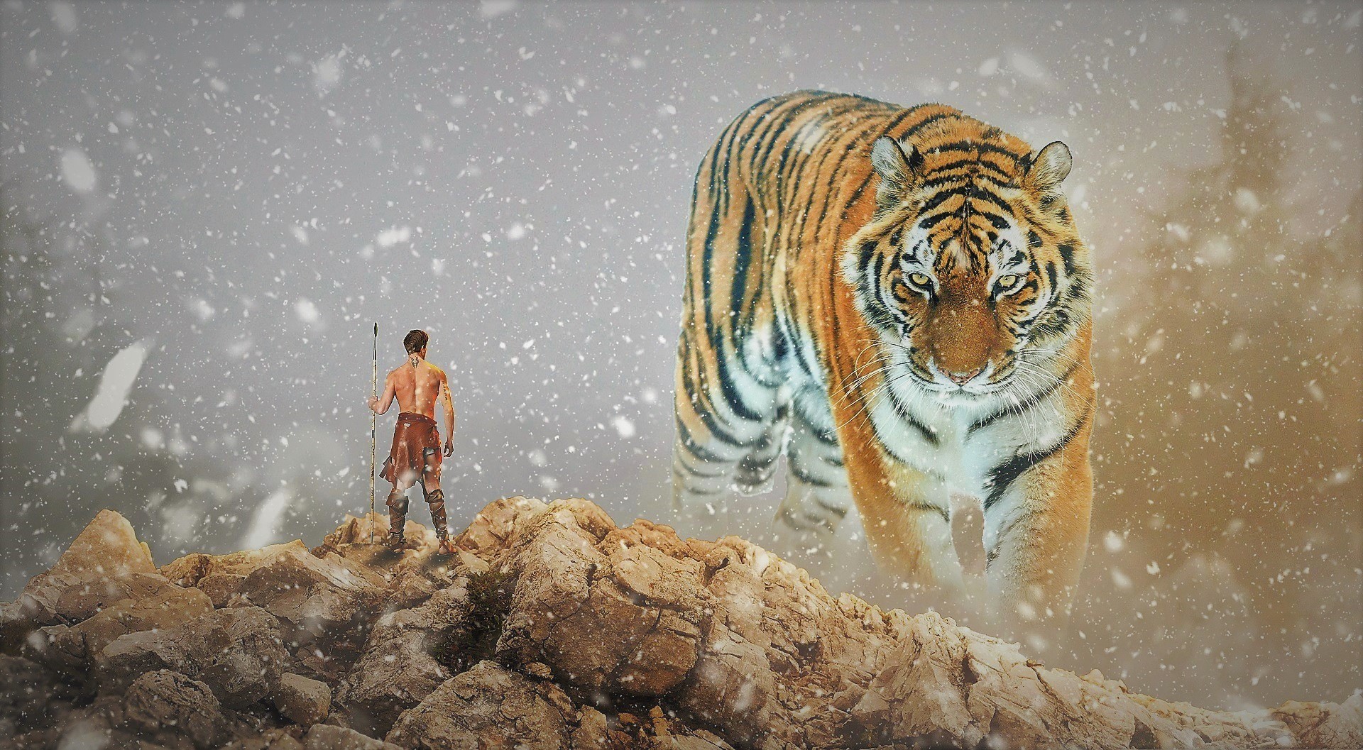 Tiger In The Winter Wallpaper Hd - HD Wallpaper 