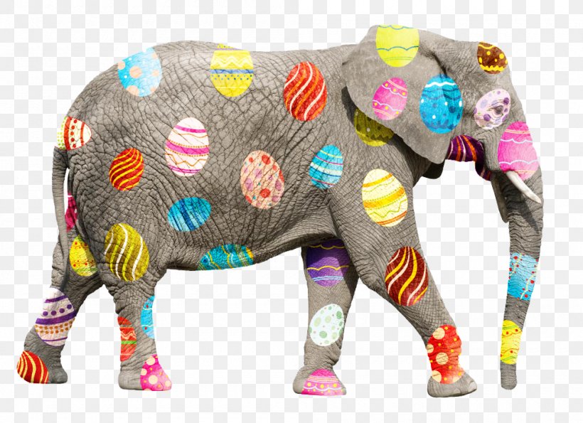 Asian Elephant Desktop Wallpaper Clip Art, Png, 1000x726px, - Elephant Enrichment Ideas - HD Wallpaper 