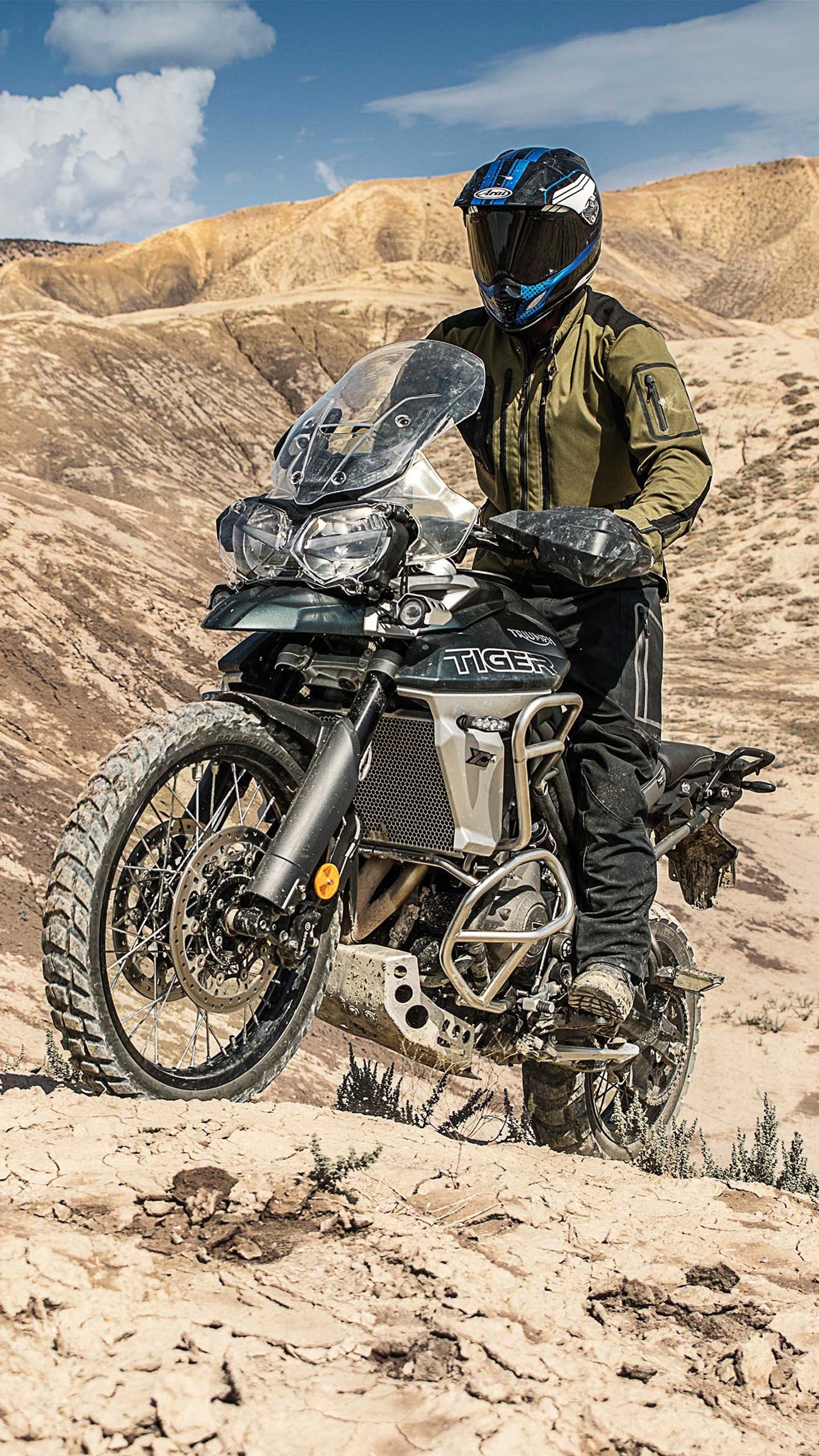 Tiger Mobile Wallpaper - HD Wallpaper 