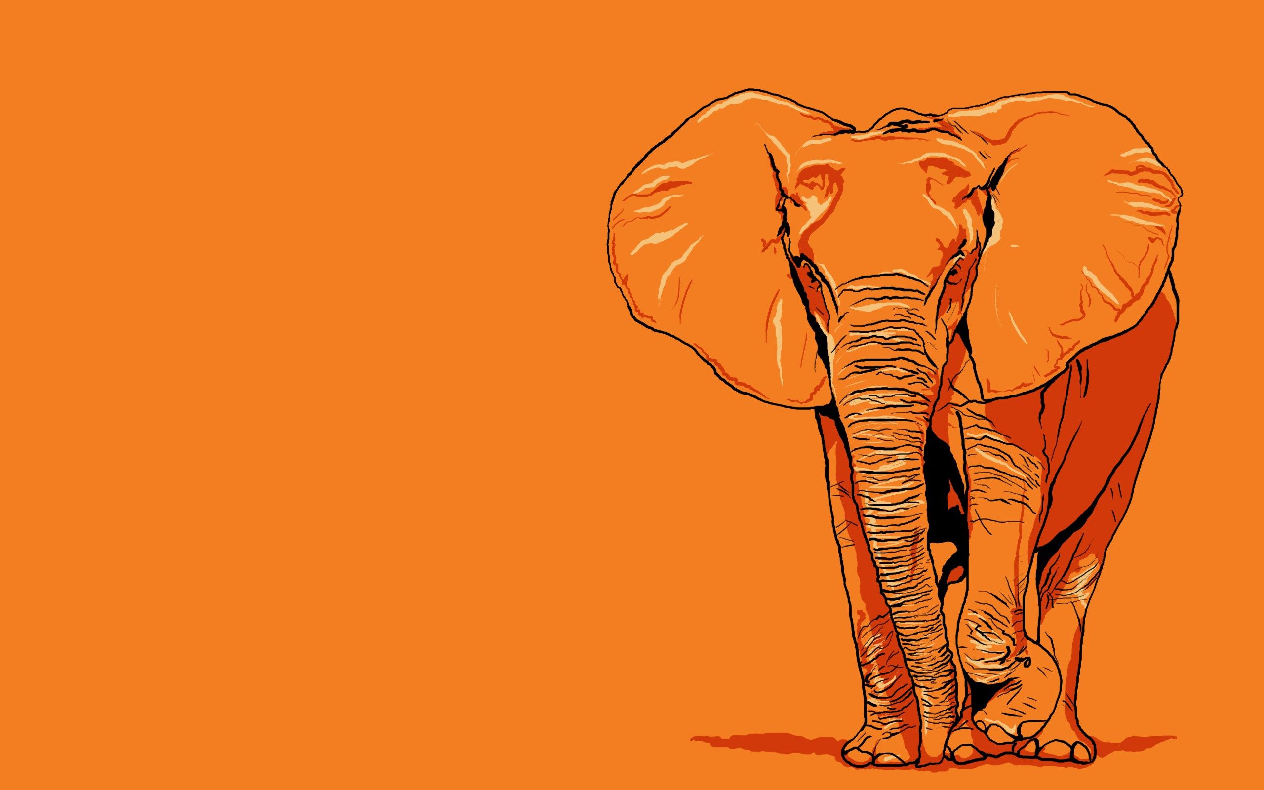Hd Widescreen Elephant Pic Gogolmogol - Elephants Wallpaper Art - HD Wallpaper 