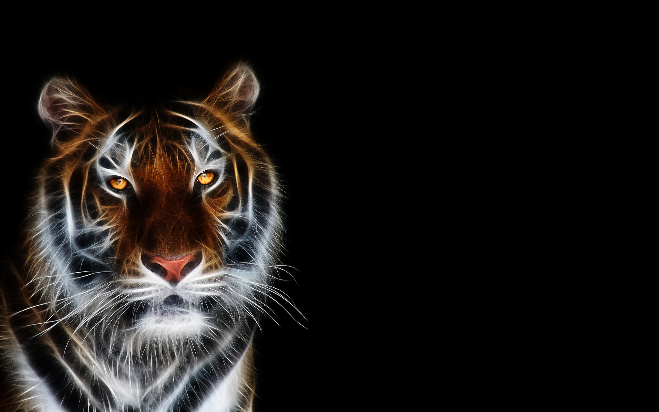Nice Wallpaper Of Tiger - HD Wallpaper 