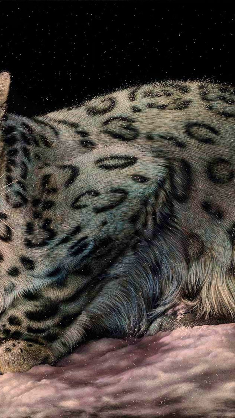 Leopard - HD Wallpaper 