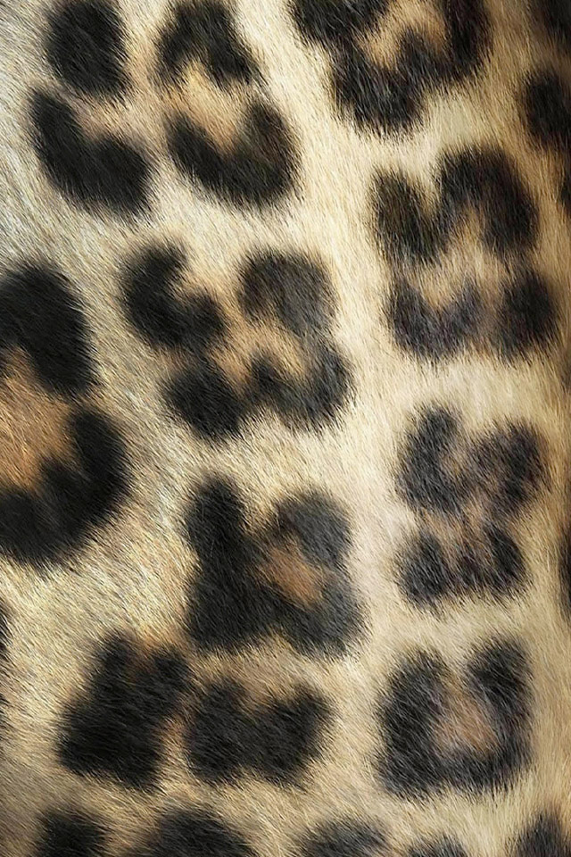 Leopard Skin Wallpaper - Leopard Skin Hd - HD Wallpaper 