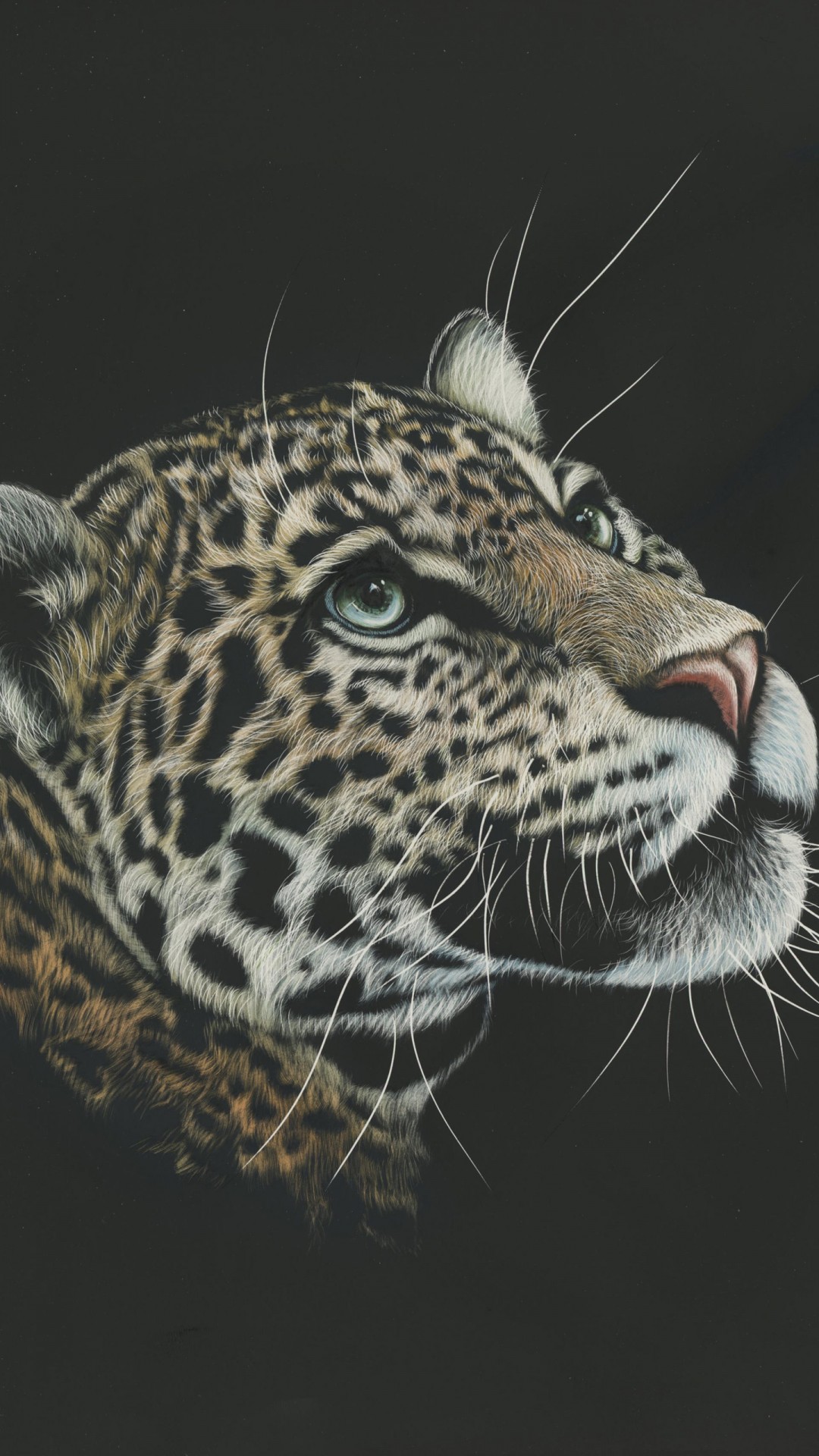 Leopard 4k Ultra Hd - HD Wallpaper 
