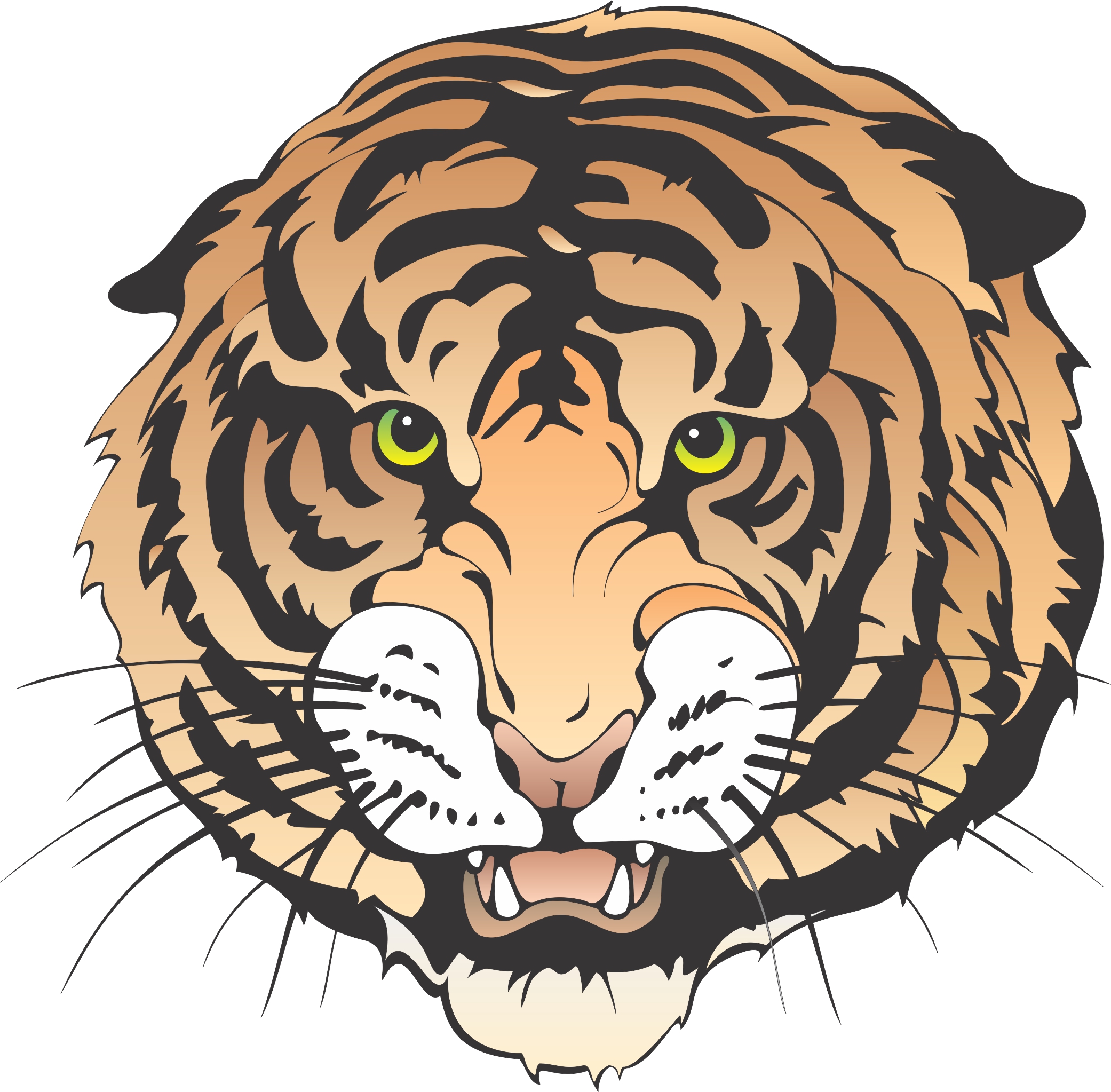 Featured image of post Tiger Cartoon Images Hd The best selection of royalty free tiger cartoon vector art graphics and stock illustrations
