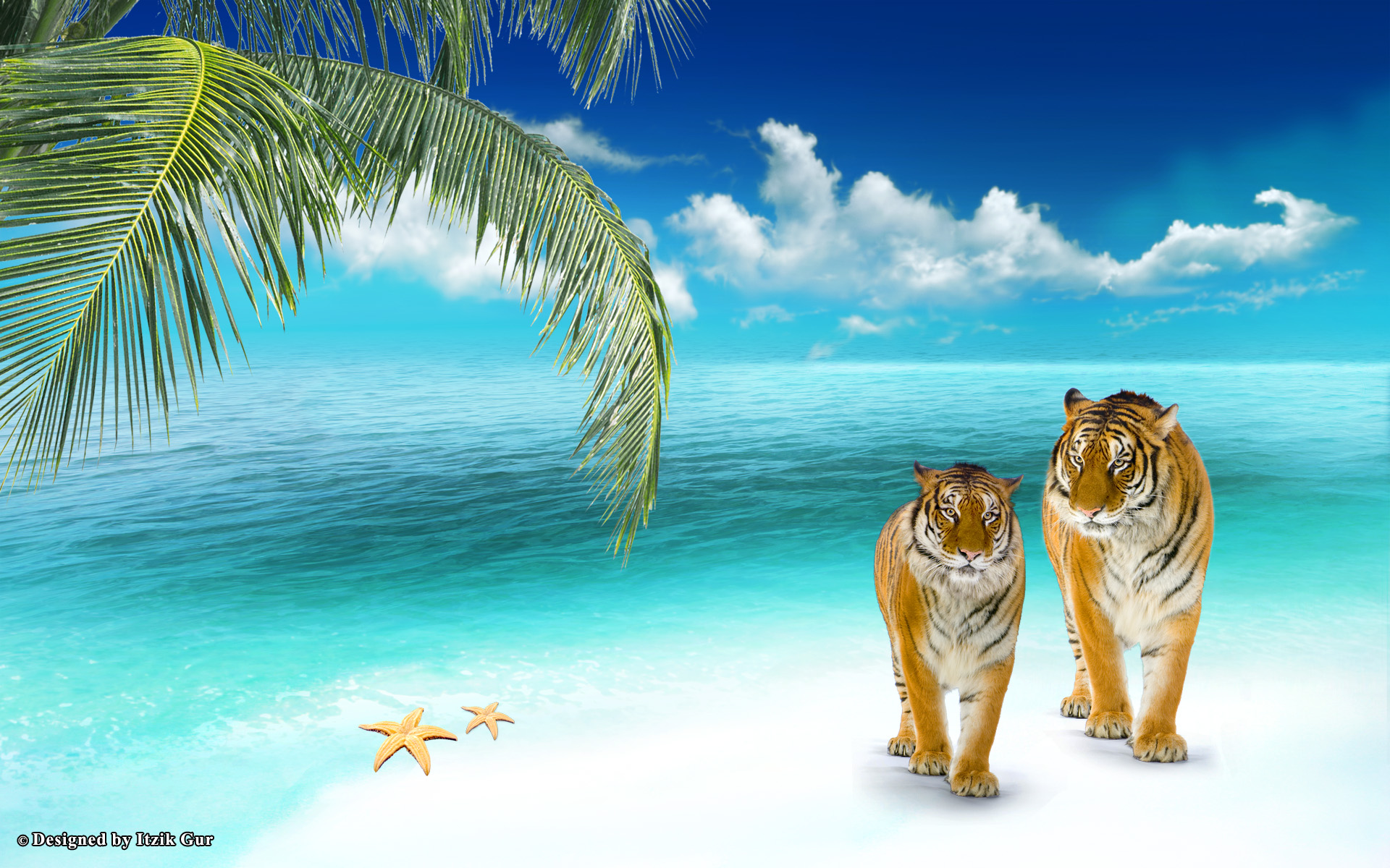 Animated Tiger Wallpaper - 1920x1200 Wallpaper Animated Tiger Wallpaper - 1920x1200 Wallpaper