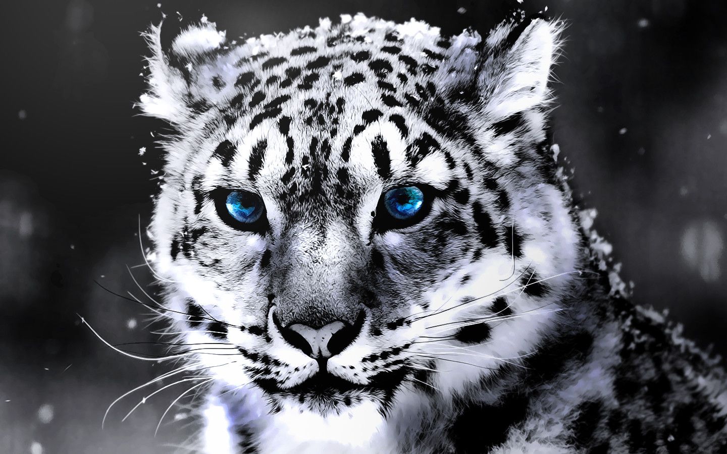 White Tiger Wallpaper Android Apps On Google Play - White Tigers Backgrounds - HD Wallpaper 