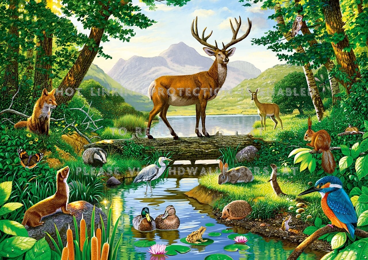 Big Buck Birds Wildlife Animals Deer - Forest Drawing With Animals - HD Wallpaper 