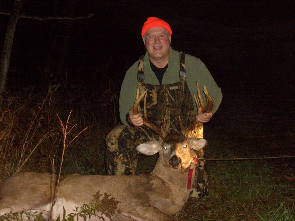 White-tailed Deer - HD Wallpaper 