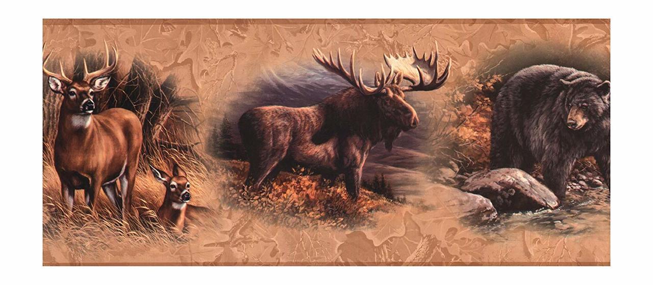 North American Wallpaper Border - HD Wallpaper 