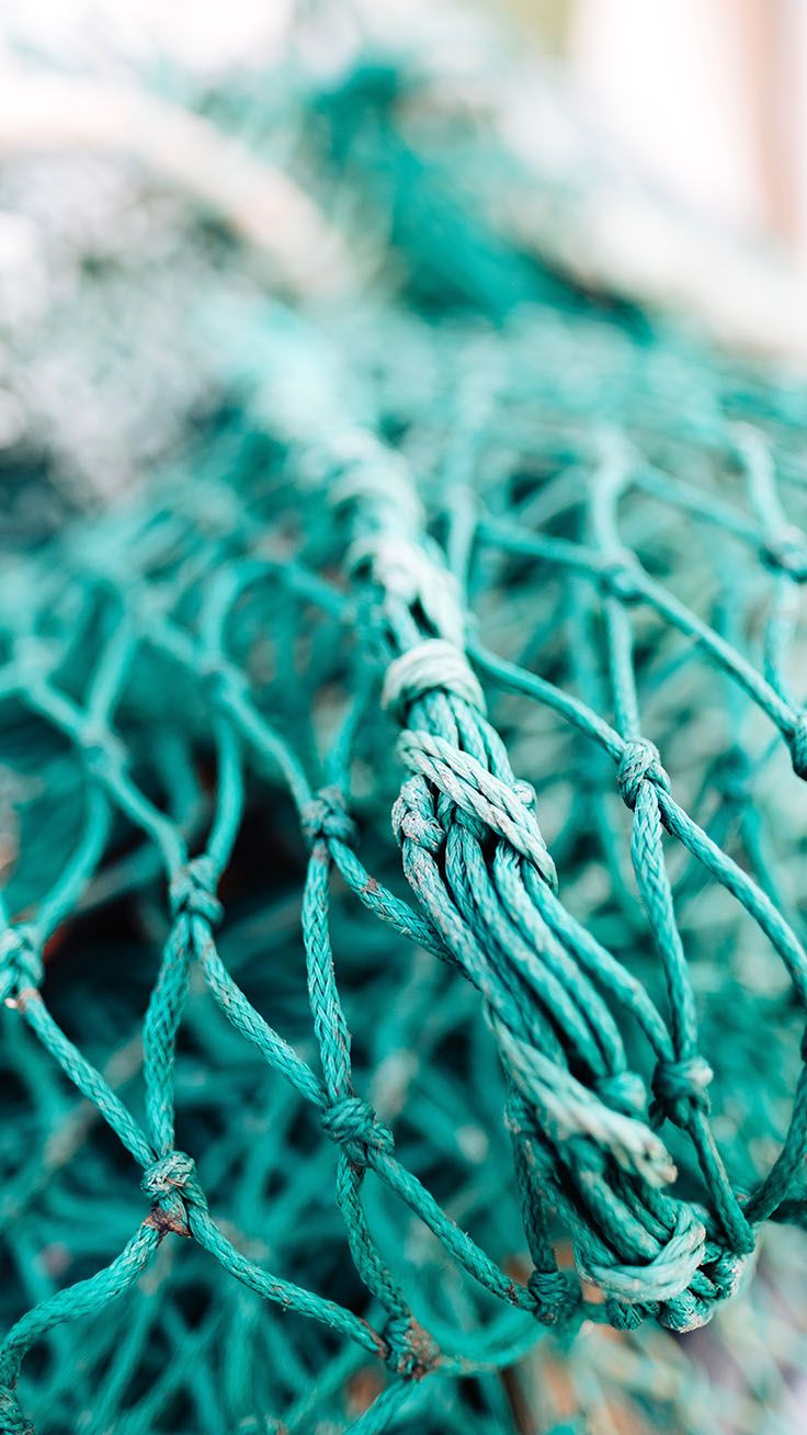 Fishing Net - 736x1308 Wallpaper - teahub.io