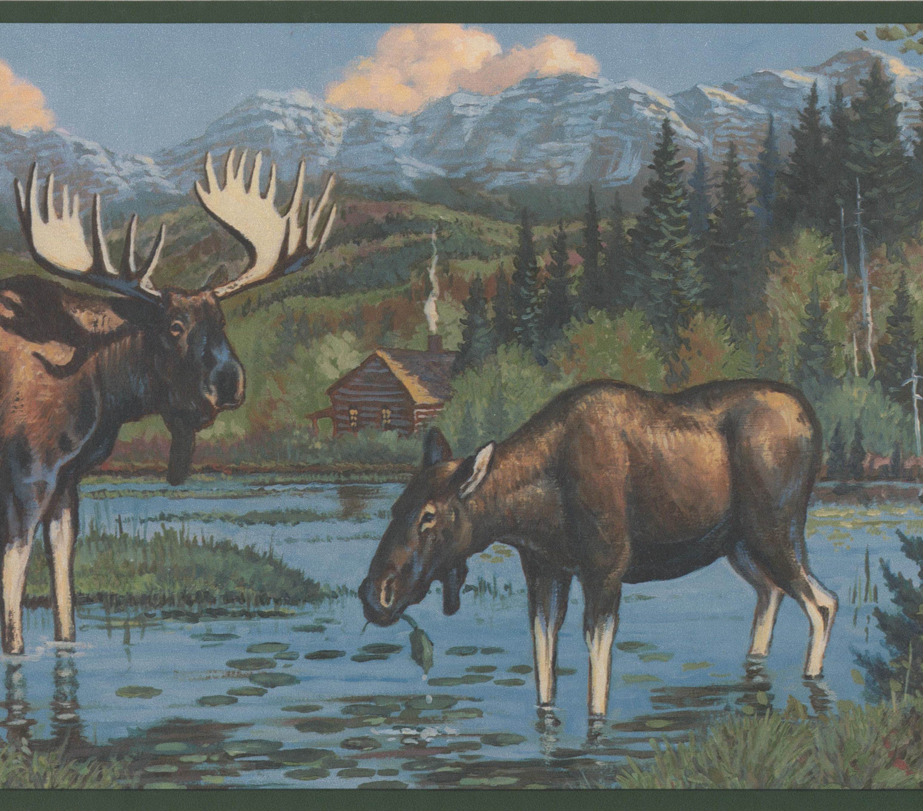 Moose In Forest - HD Wallpaper 