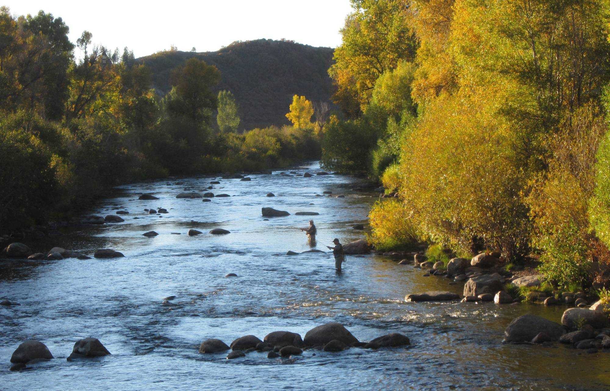 2000x1282, Trout Fishing Wallpaper Fly For Mobile High - Fly Fishing On The River - HD Wallpaper 