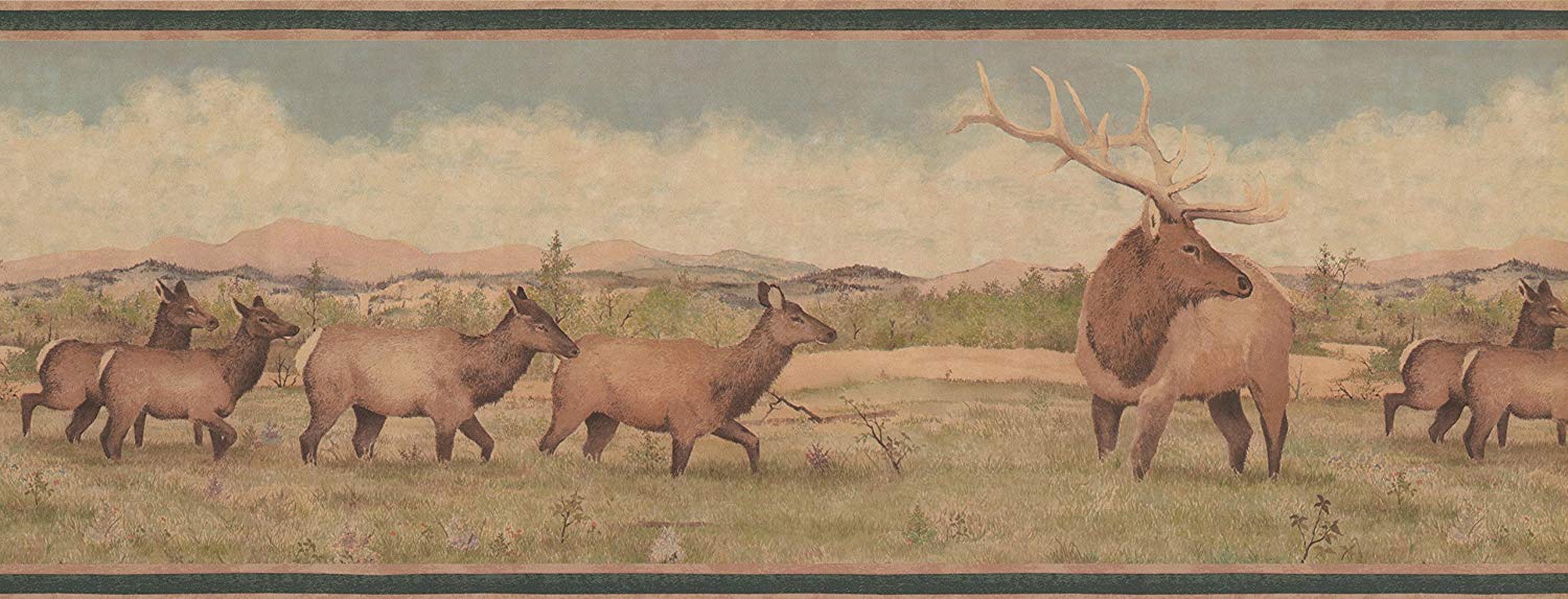 Elk - HD Wallpaper 