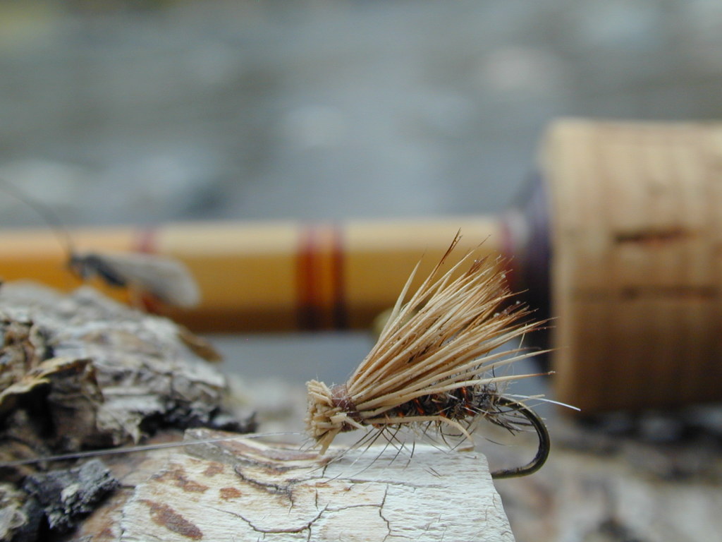 Fly Fishing Wallpaper Iphone - HD Wallpaper 
