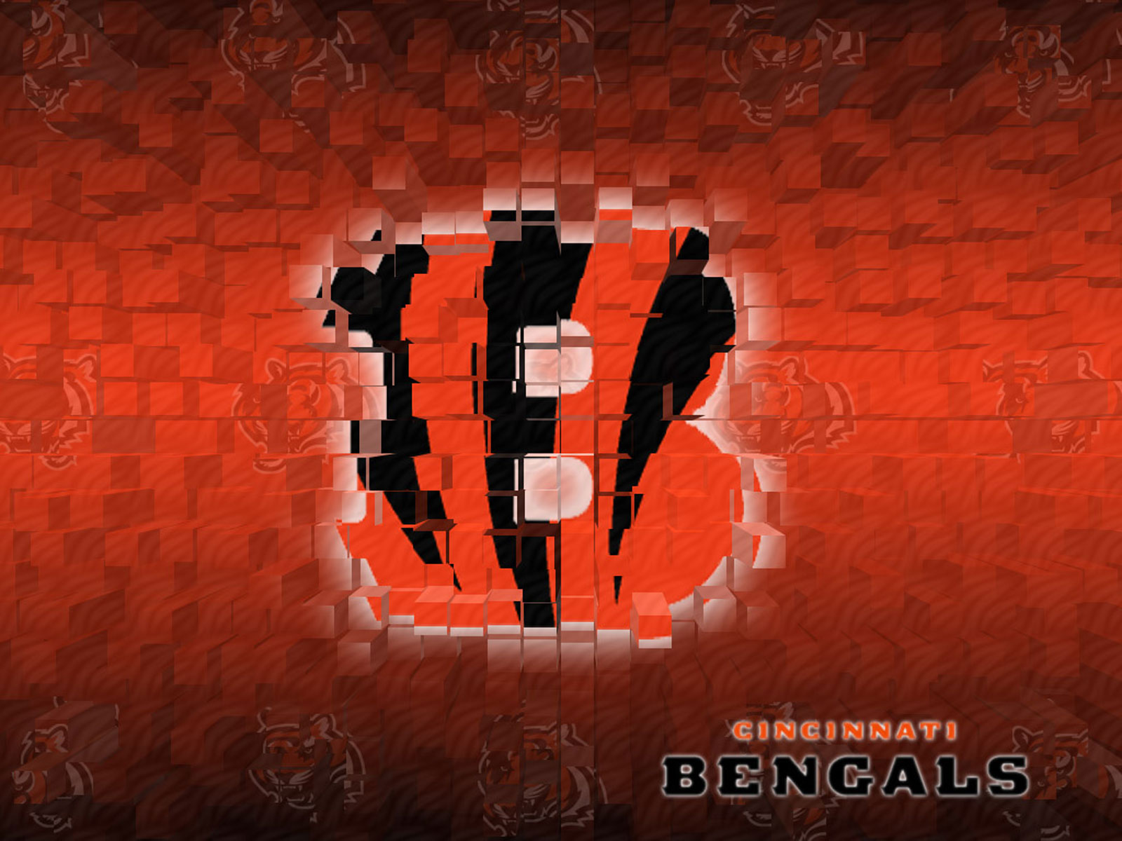 Cincinnati Bengals 3d Wallpaper - Bengals 3d - HD Wallpaper 