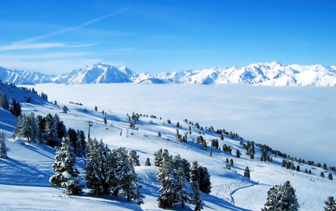 Mountains Snow Trees & Ski Wallpapers - Winter - HD Wallpaper 