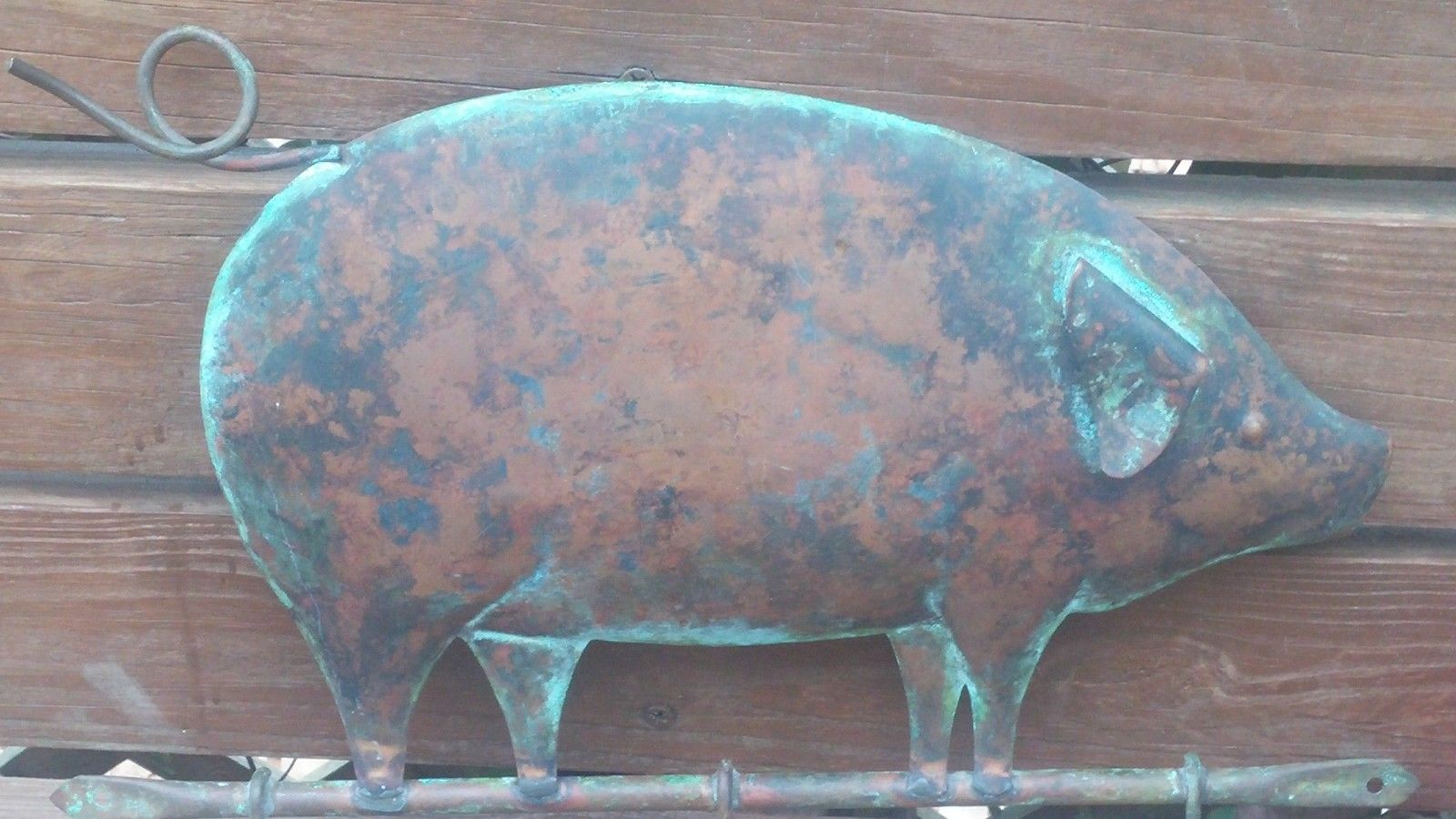 Pig - 1600x900 Wallpaper - teahub.io