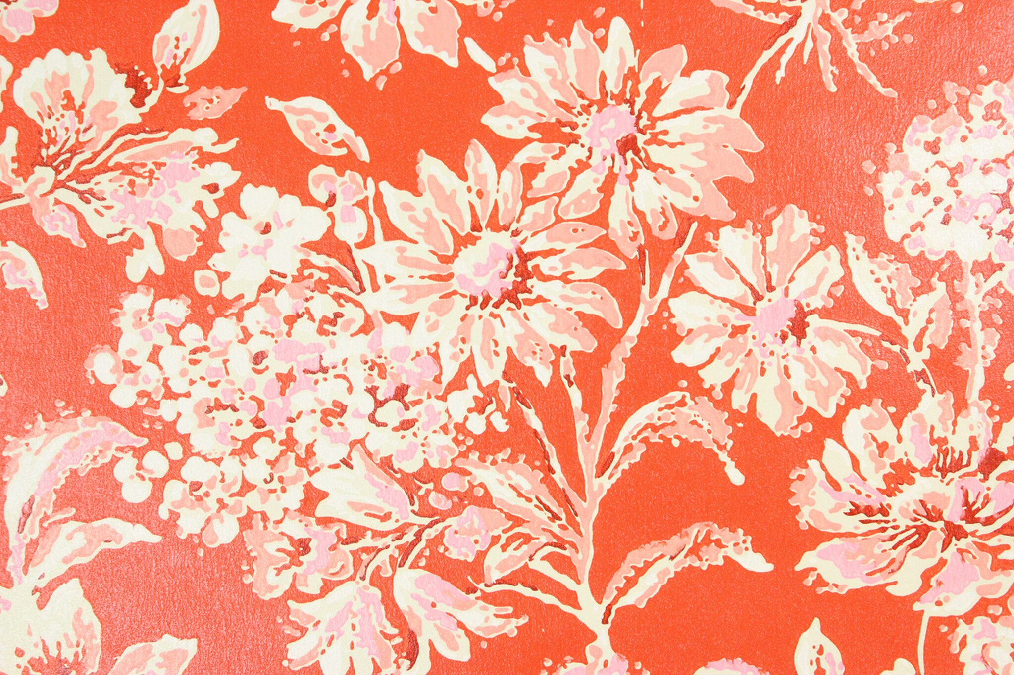 Wallpaper - HD Wallpaper 