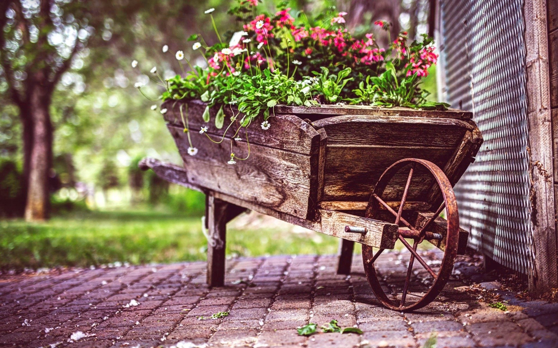 Vintage Flower Pot Wallpaper - Flower Vintage Wallpaper Desktop - HD Wallpaper 