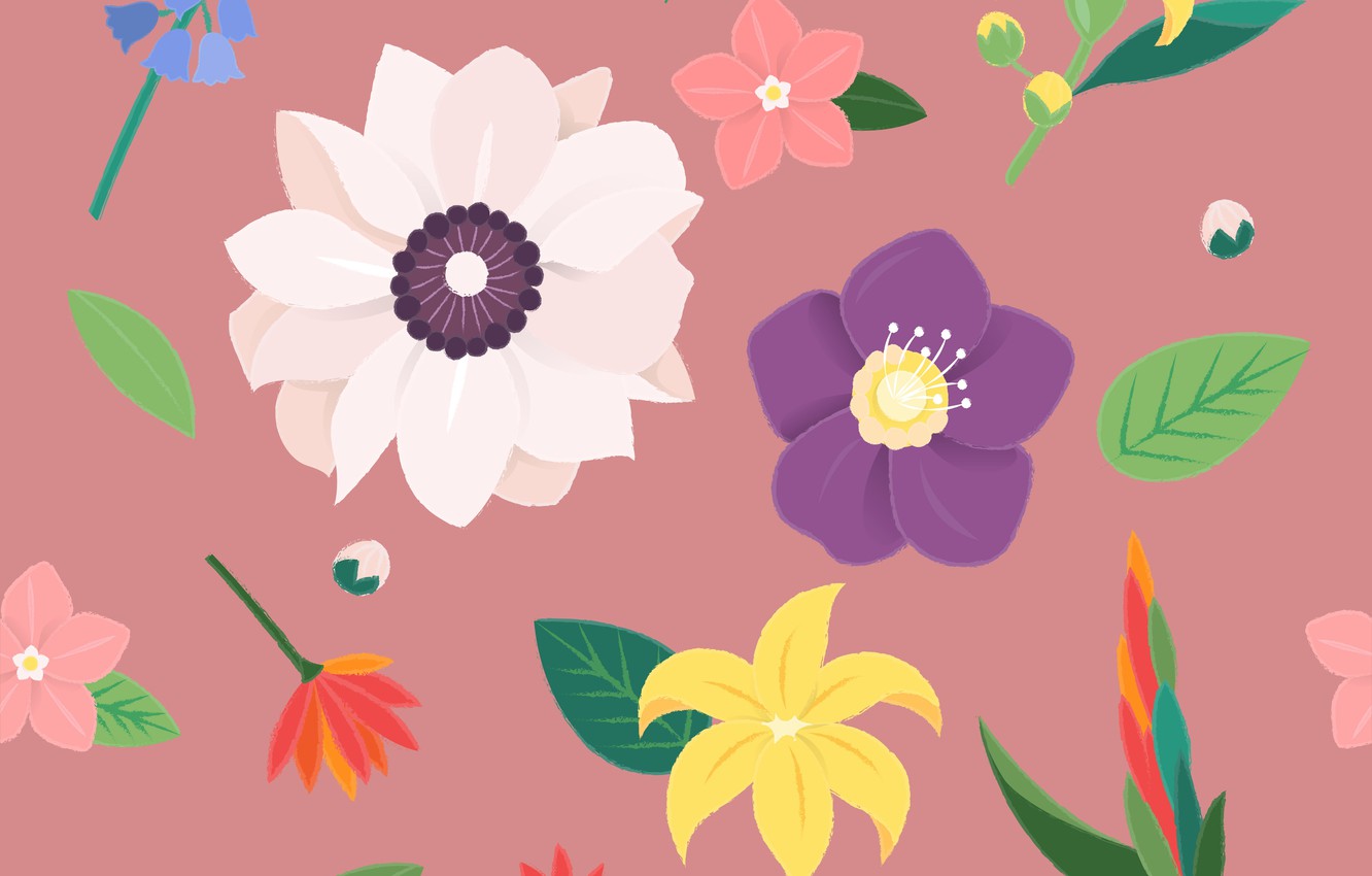 Photo Wallpaper Flowers, Background, Texture, Flower, - Flower - HD Wallpaper 