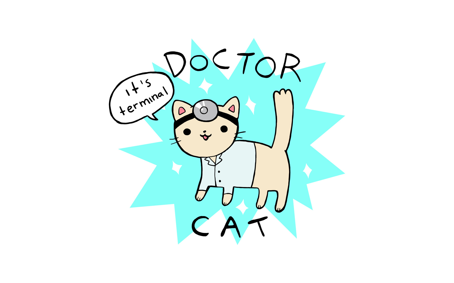 Doctor Cat - HD Wallpaper 