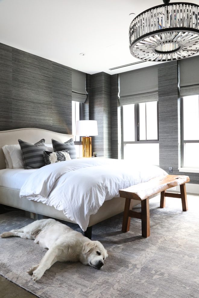 Boston Grey Paisley Wallpaper With Contemporary Roman - Bedroom - HD Wallpaper 