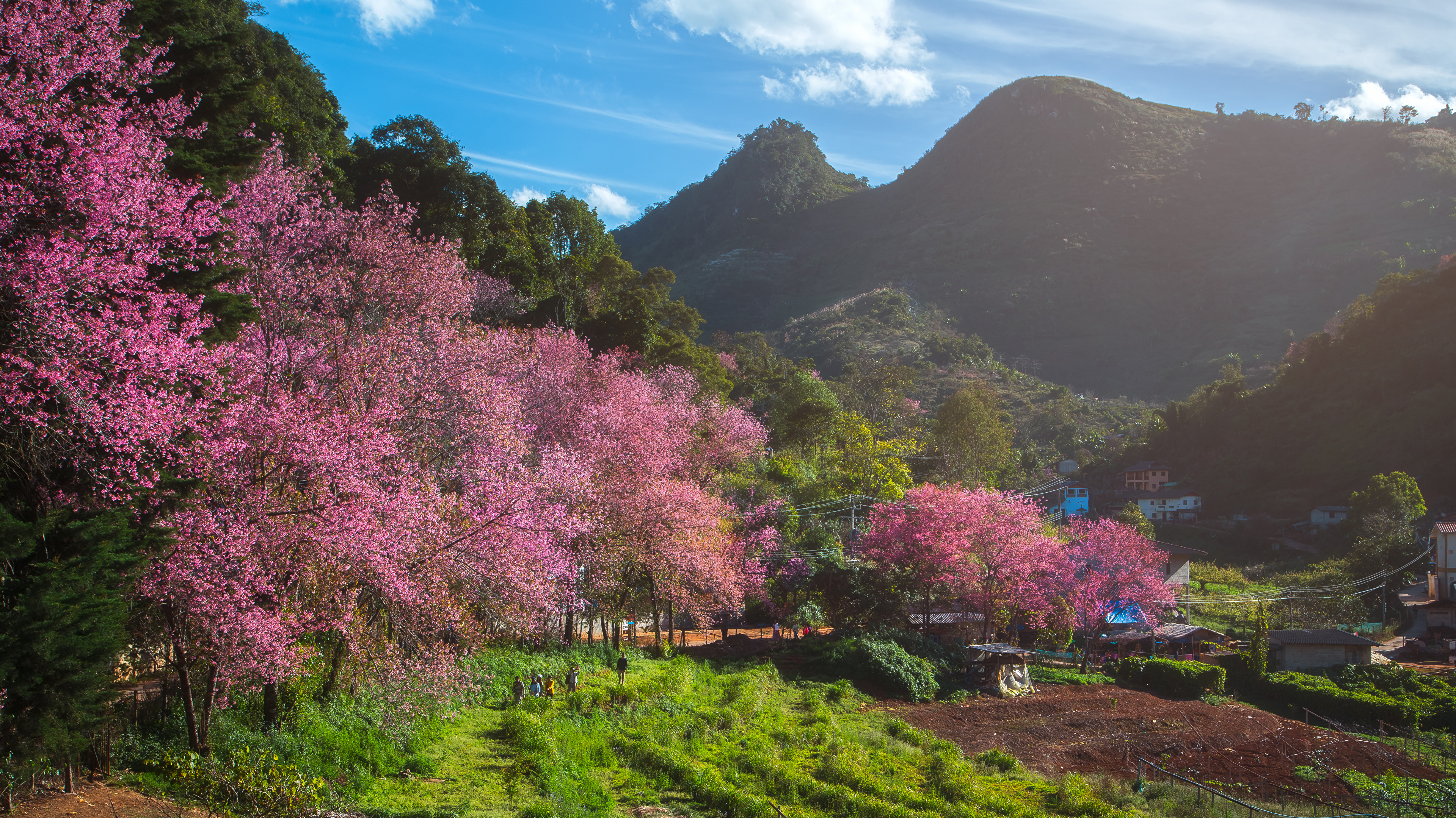 Tailandia Primavera - HD Wallpaper 