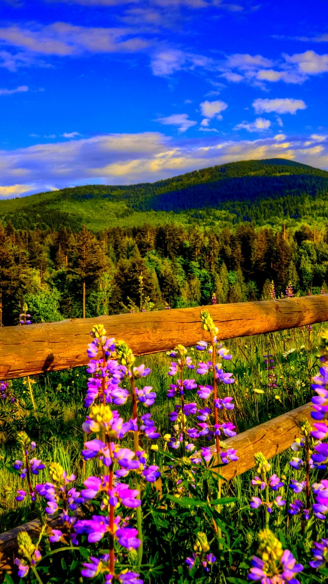 Wallpaper Iphone Spring Nature Resolution - Spring Nature Wallpaper Hd For Mobile - HD Wallpaper 