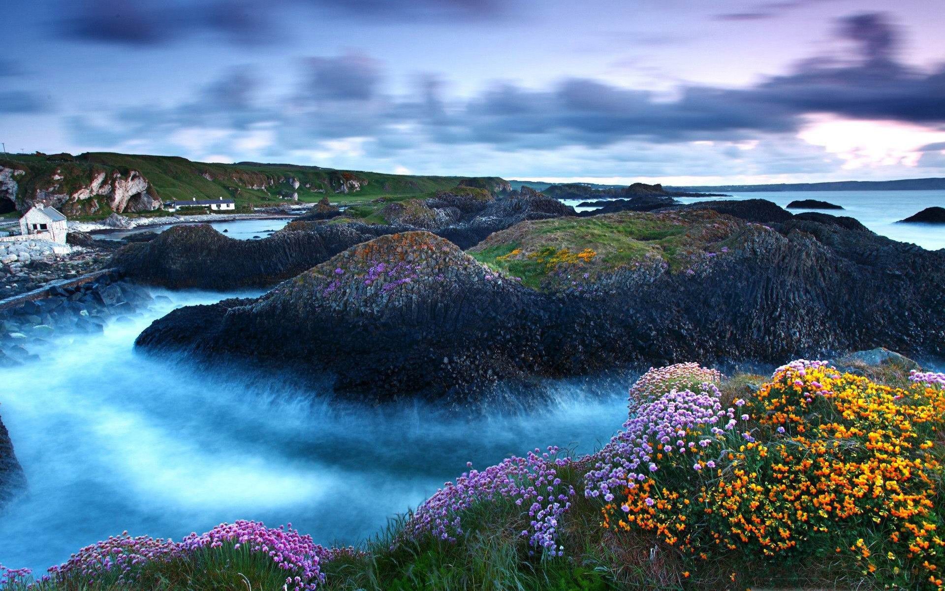 Spring Nature Wallpaper - HD Wallpaper 