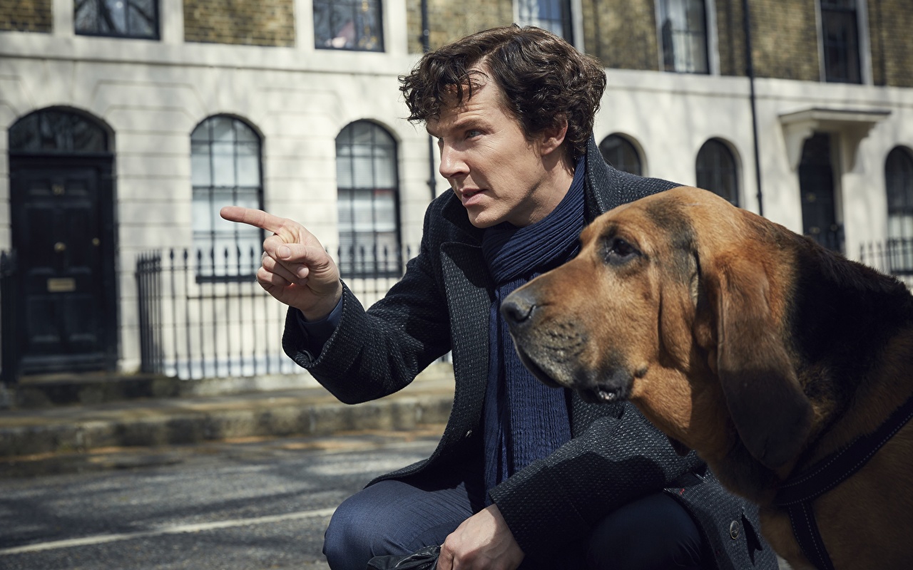 Sherlock And His Dog - HD Wallpaper 