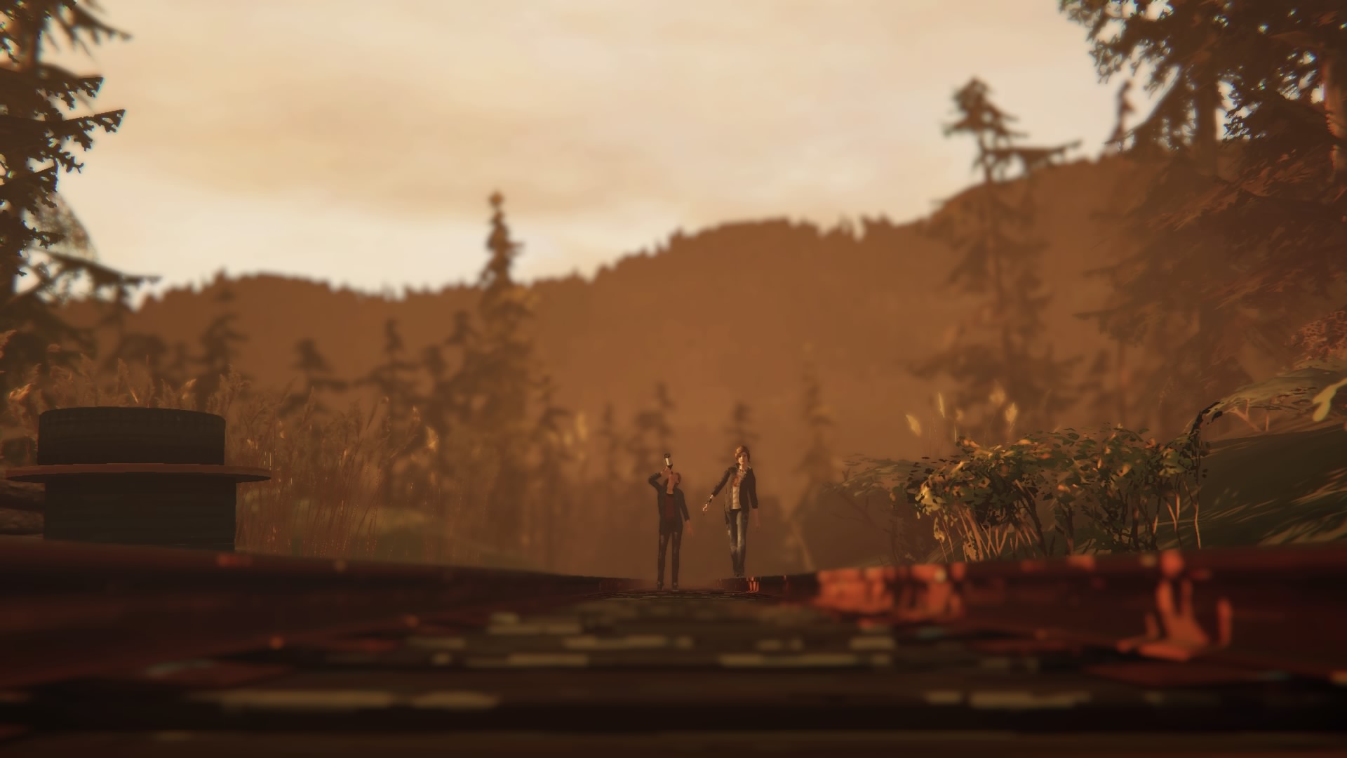 Lis Is Strange Before Storm - HD Wallpaper 