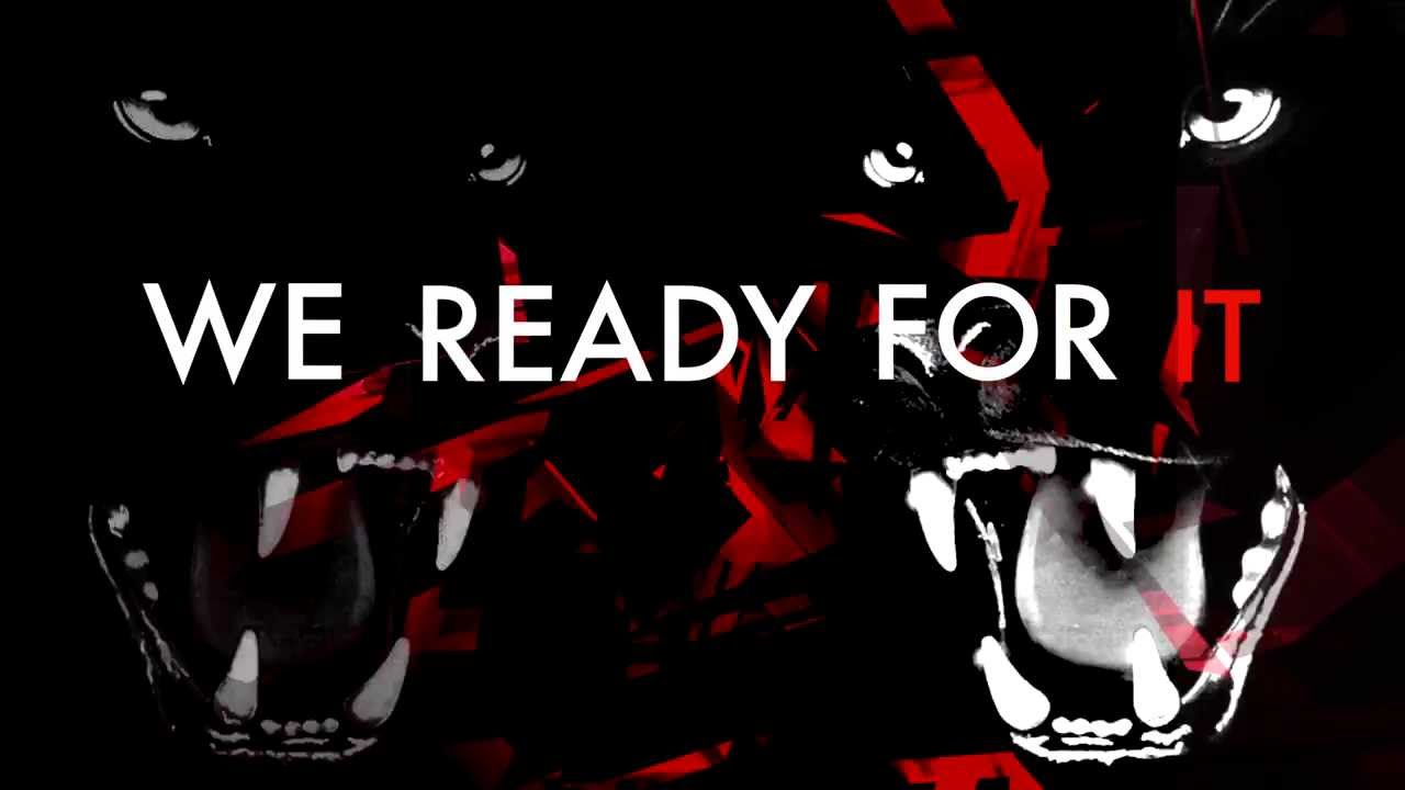 Tigre Noir - HD Wallpaper 