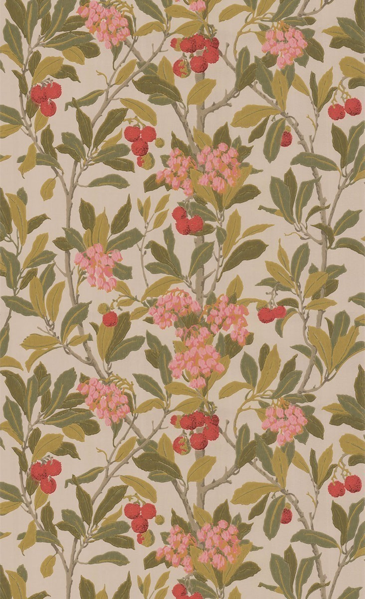Strawberry Tree Wallpaper Cole And Son Rose 100/10047 Cole & Son