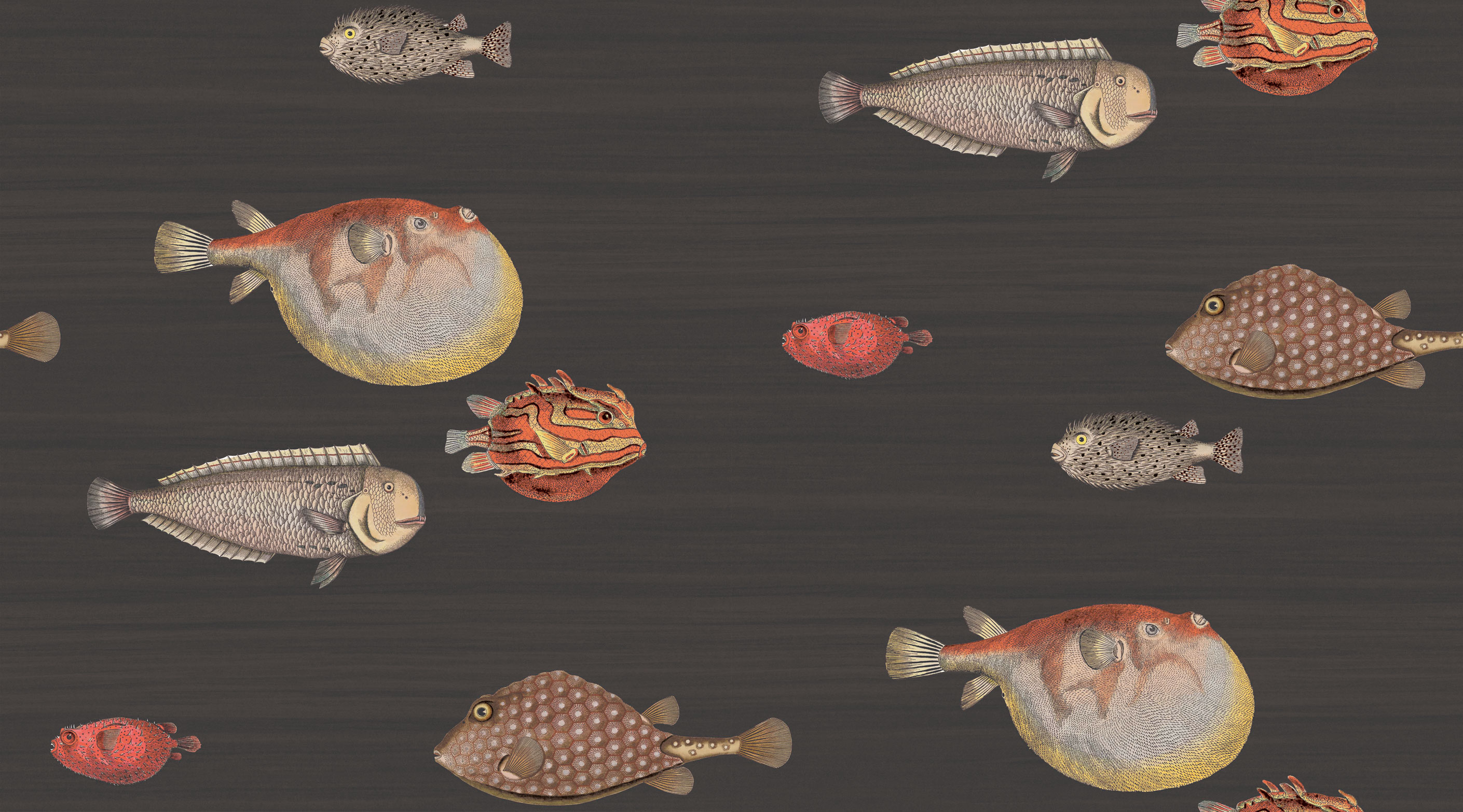 Cole And Son Fish - 2819x1566 Wallpaper - teahub.io
