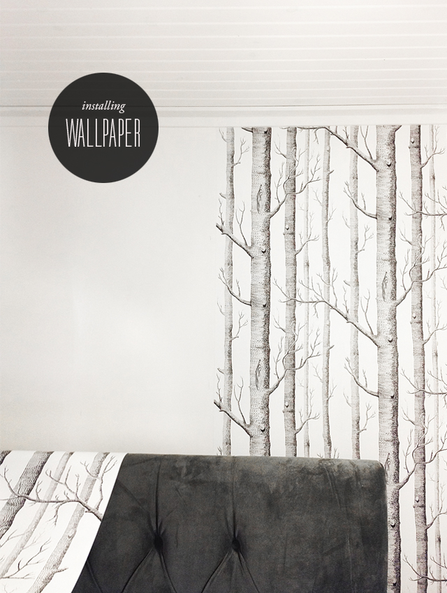 Woods - HD Wallpaper 