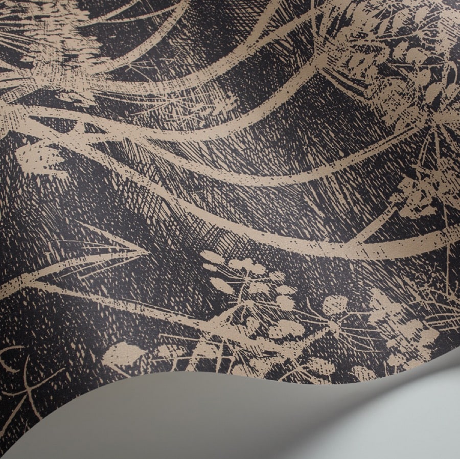 Cole And Son Cow Parsley Wallpaper - HD Wallpaper 