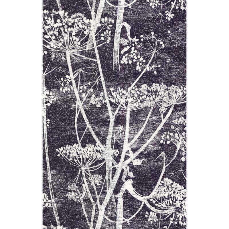 Cow Parsley White/blk 66-7046 Lee Jofa Wallpaper 66/7046 - Cole And Son Cow Parsley - HD Wallpaper 