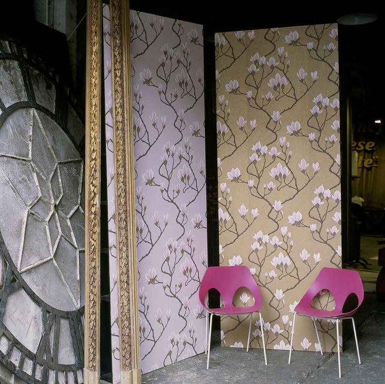 Magnolia Image - Cole And Son Wallpaper Magnolia - HD Wallpaper 