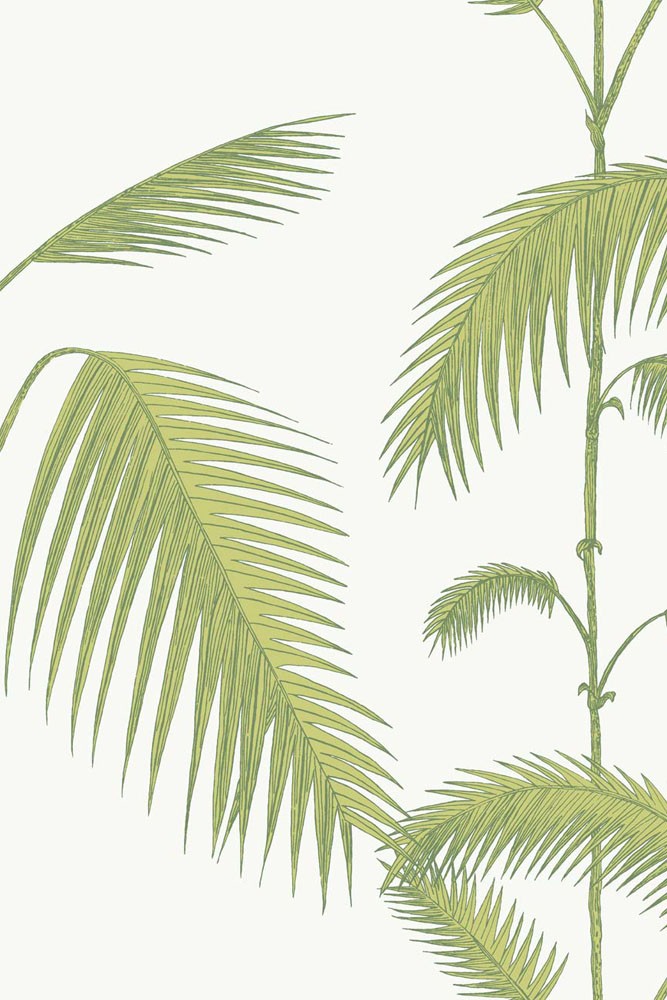 Palm Leaf Wallpaper Nz - HD Wallpaper 