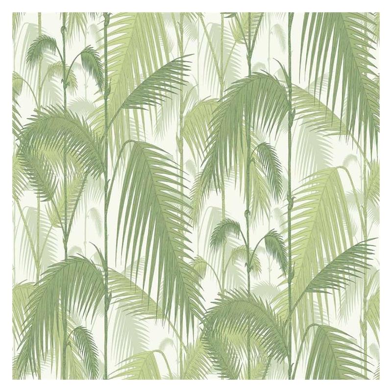 95/1001 Cole And Son - Cole And Son Palm Jungle Nz - HD Wallpaper 